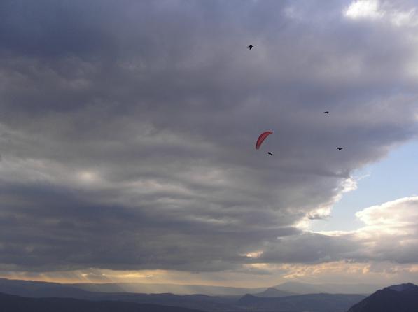 Jenny finding lift in the evening air