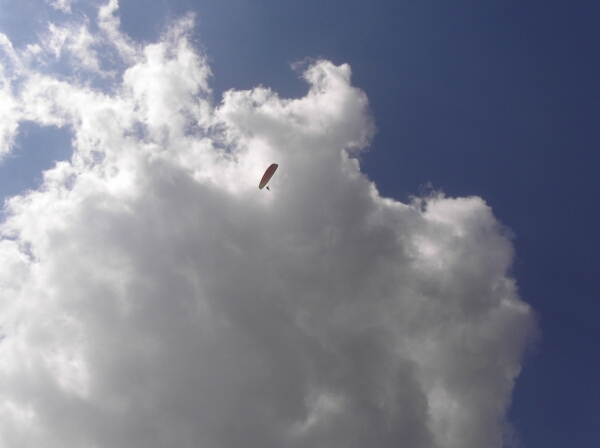 Mukrim battling the wind in his competition paraglider